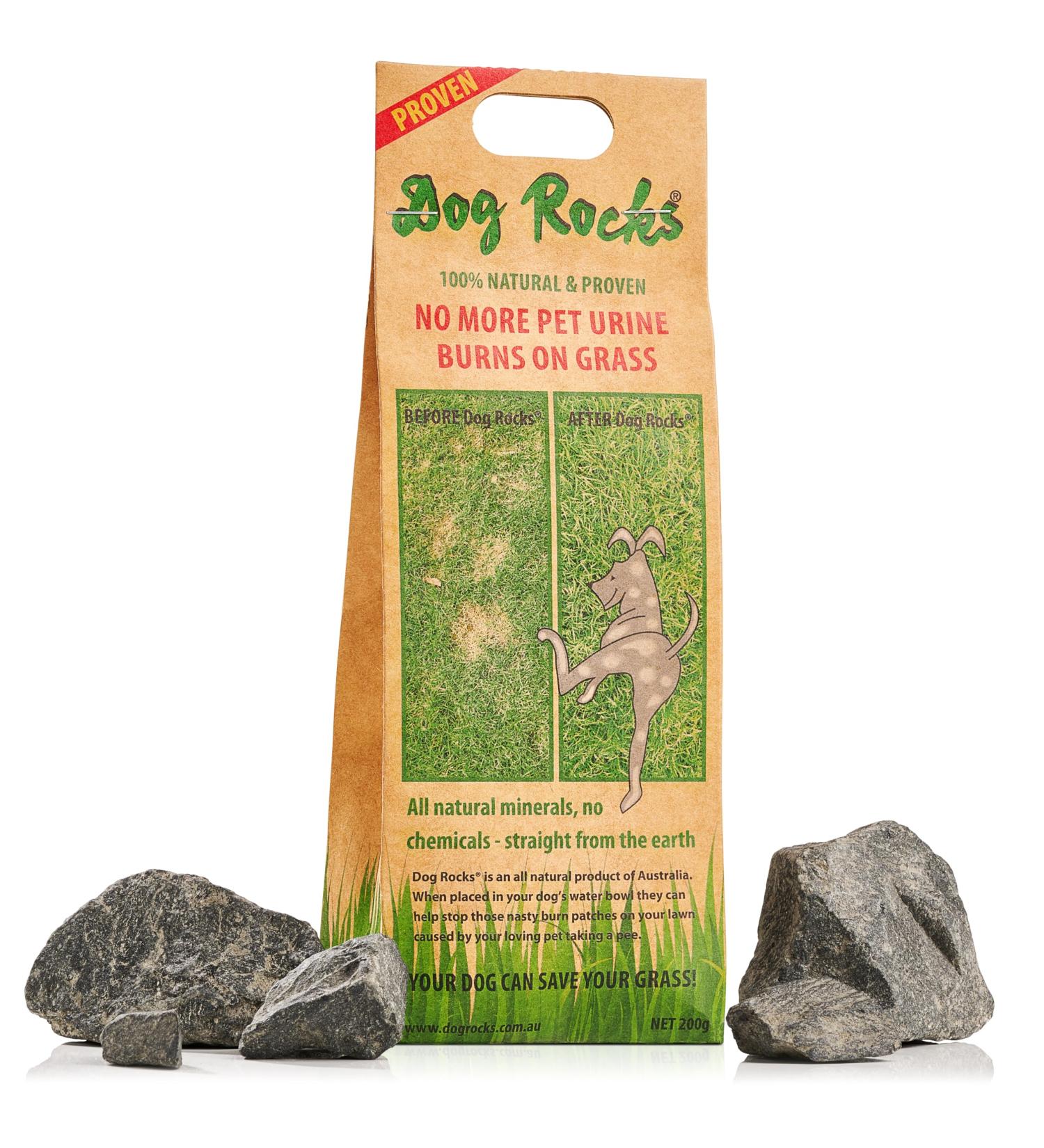 Dog Rocks - Urine Patch Preventer (200g) / Natural Dog Urine Neutraliser for Water Bowls Grass Repair Urine Burn Patch Repair 200 g (Pack of 1) - Buy Online on SooperMarket.com