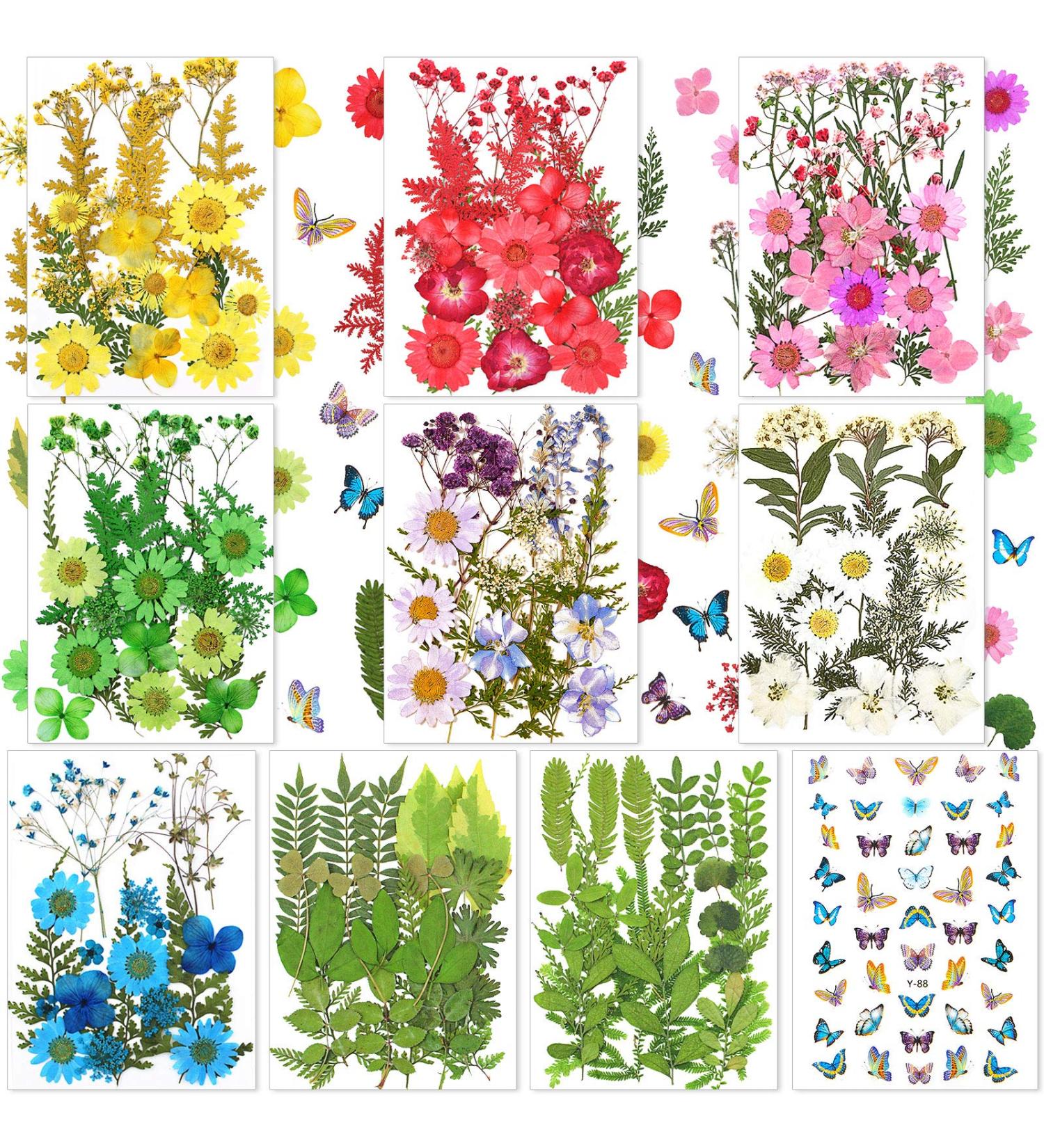 223 Pieces Real Dried Flowers, Leaves & Butterfly Stickers Set - Colorful Natural Daisies & Adhesive Decals for DIY Resin Jewelry & Nail Crafts - Buy Online on SooperMarket.com