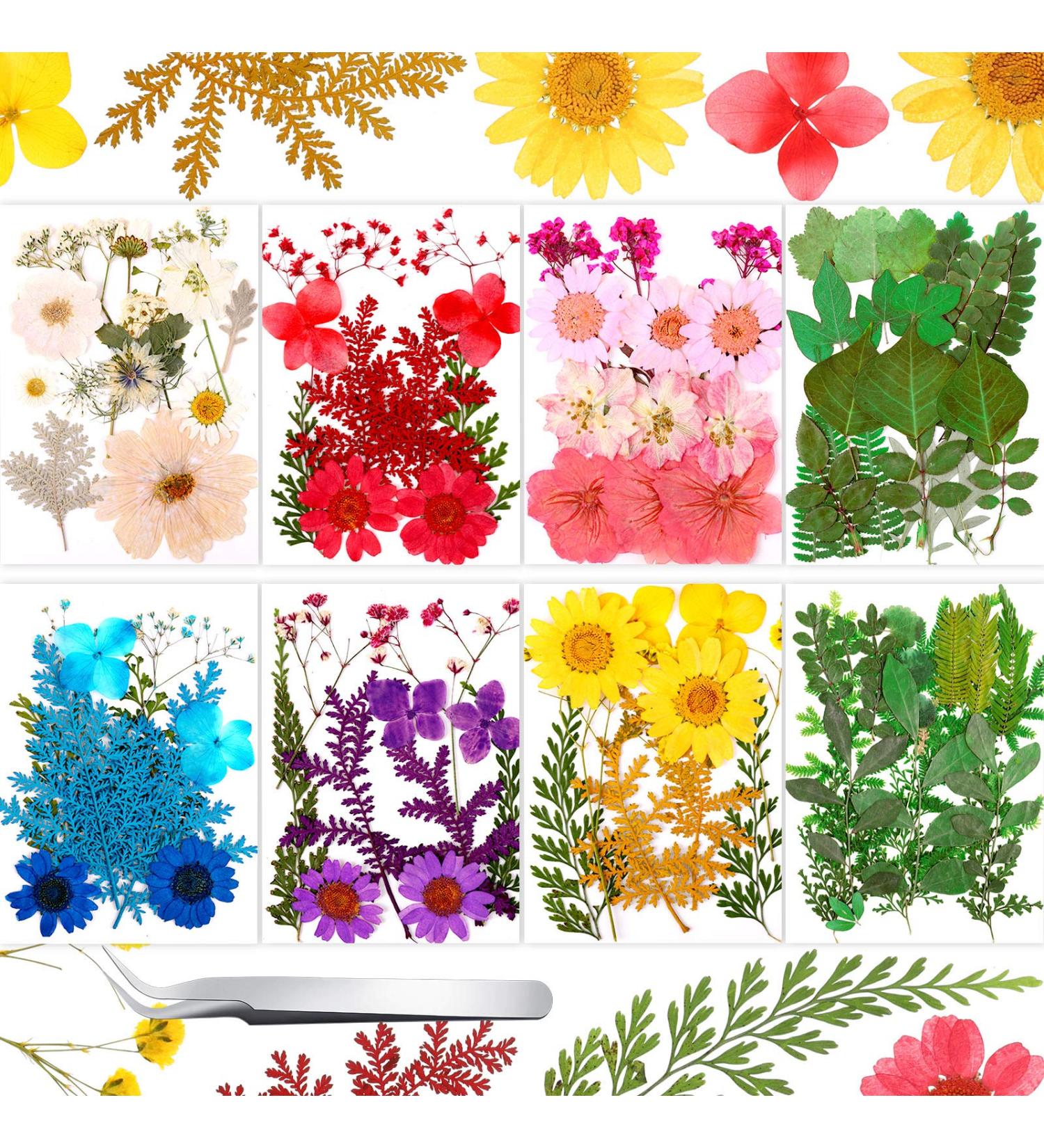 109 Piece Real Dried Pressed Flowers Set with Tweezers - Craft DIY Candle Resin Jewelry Nail Pendant Making Supplies - Buy Online on SooperMarket.com