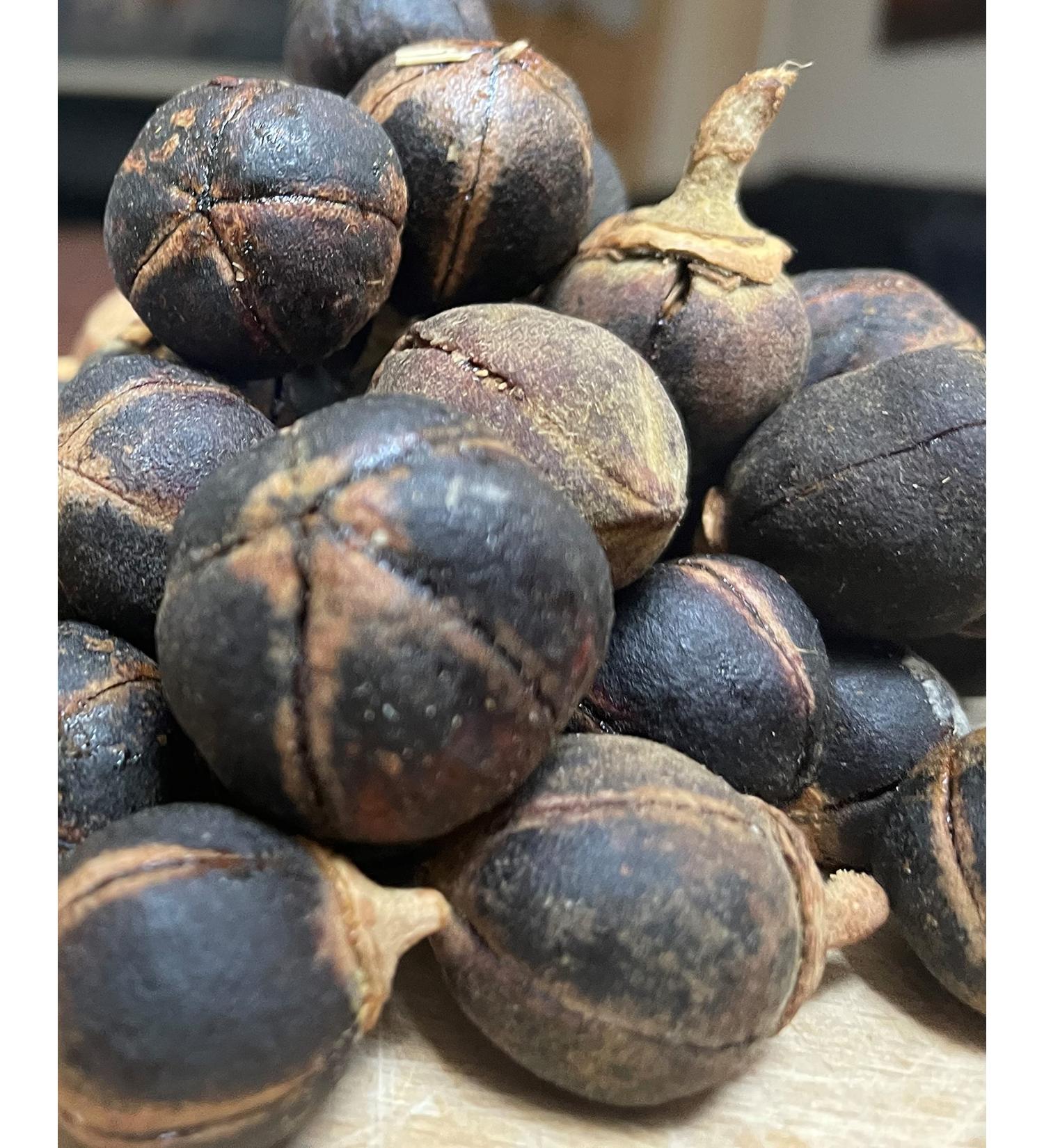 GORONTULA Fruit Azanza Garckeana Organic Sweet Silky Snot Apple Kayamata Various sizes12 Pieces - Buy Online on SooperMarket.com