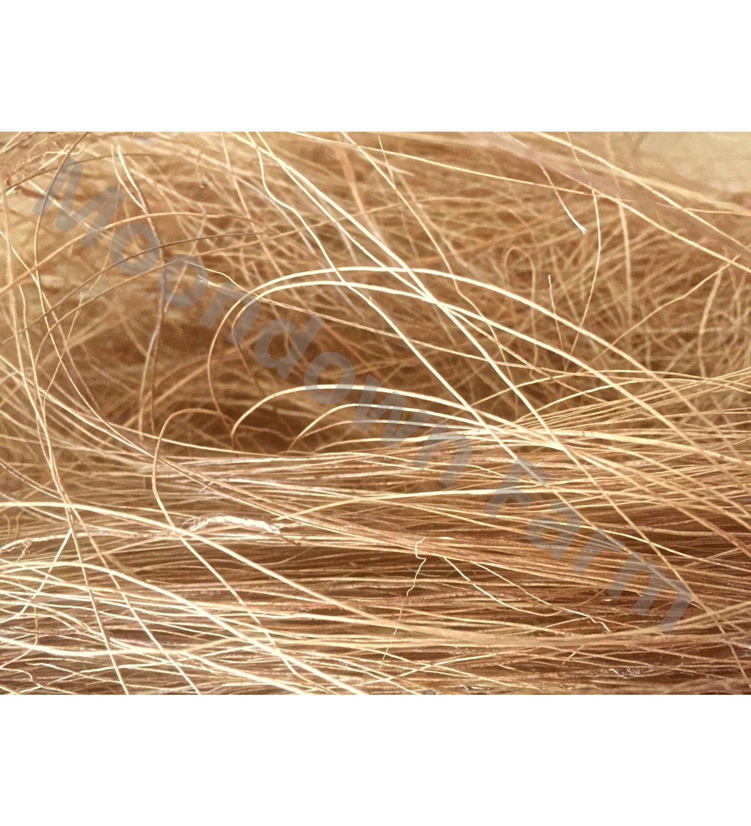 Moondown Farm Bird Nesting Material Coconut Husk Fibre Bundle 100g for Finches/Canary/Budgies - Buy Online on SooperMarket.com