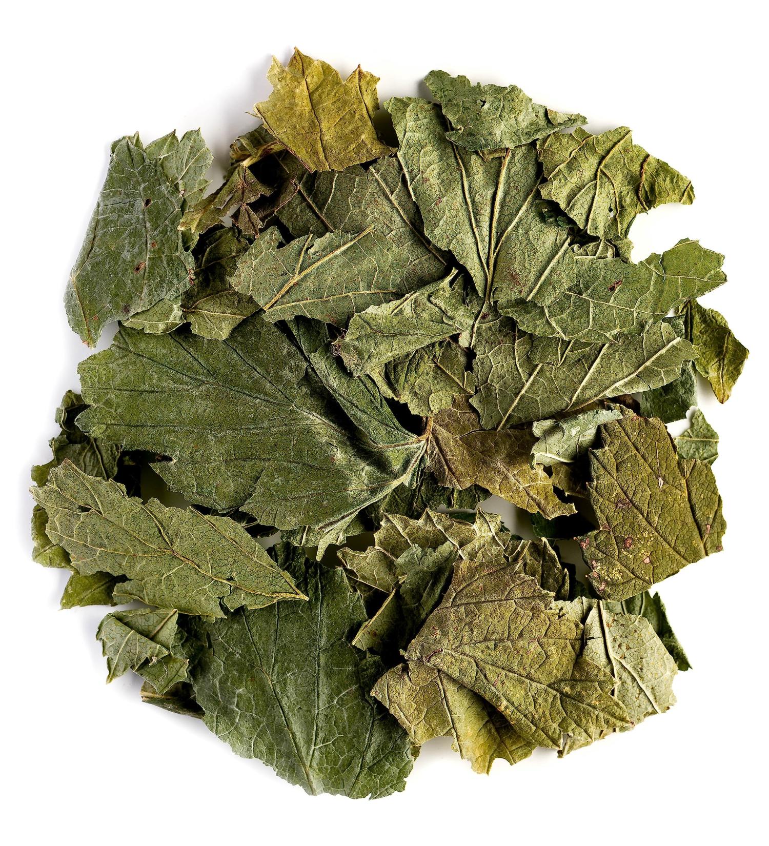Organic Johannis Berries Leaves Tea - 50g Currant & Raspberry Leaf Blend | Perfect for Desserts | Ribes Nigrum - Buy Online on SooperMarket.com