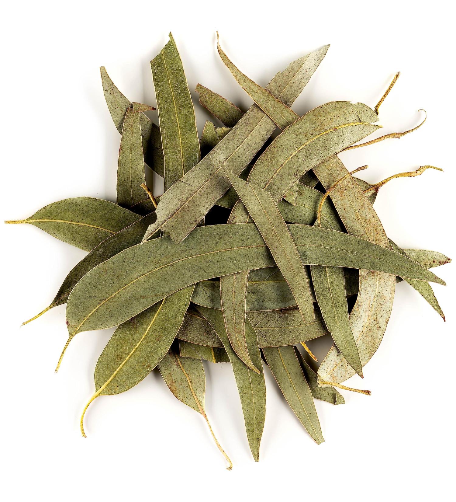 Organic Eucalyptus Losblatt Tea - Biodegradable Eucalyptus Herb Tea 100g | International Shipping - Buy Online on SooperMarket.com