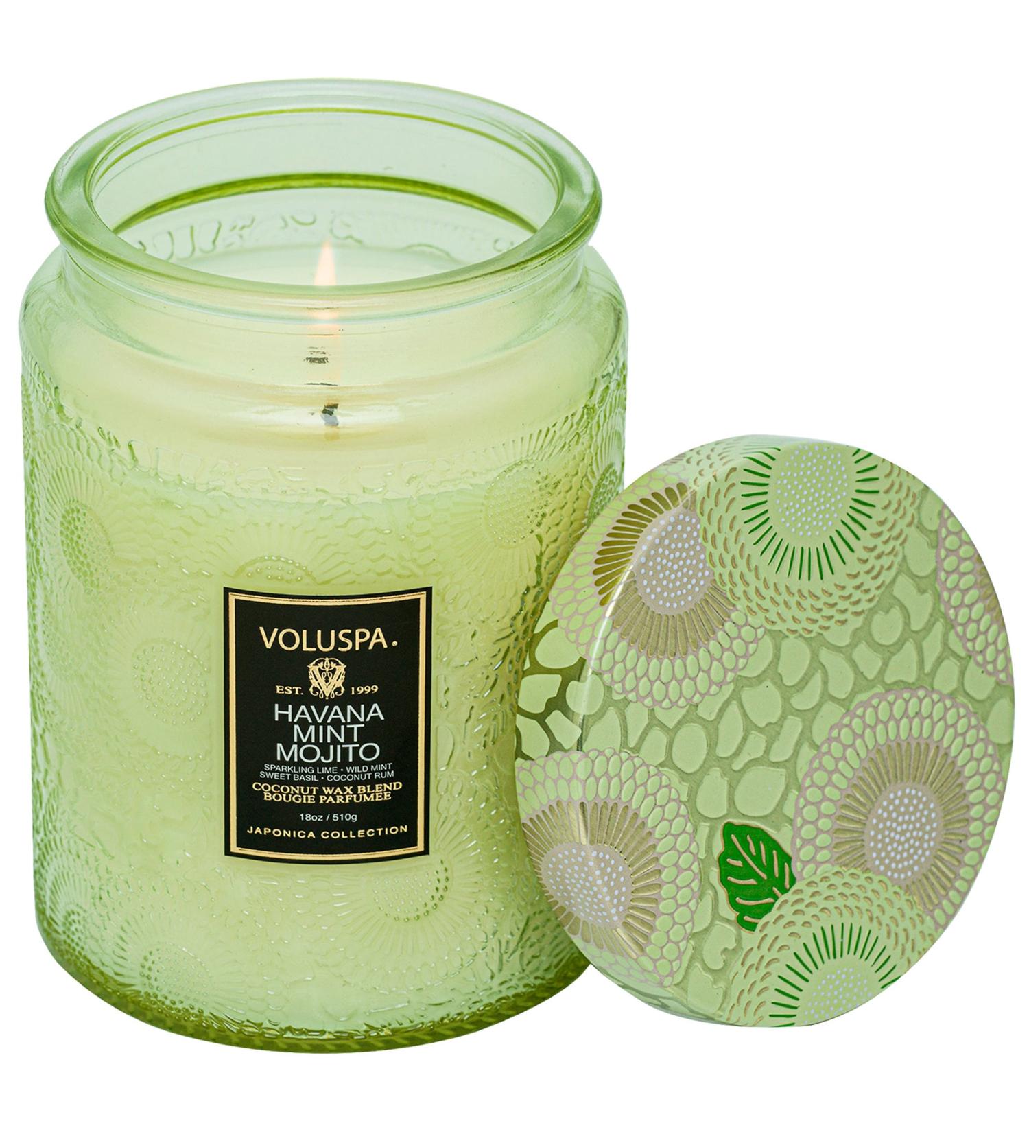 Shop VOLUSPA Havana Mint Mojito Glass Jar Candle - 18 oz/ 510 g Online - Best Price & International Shipping - Buy Online on SooperMarket.com