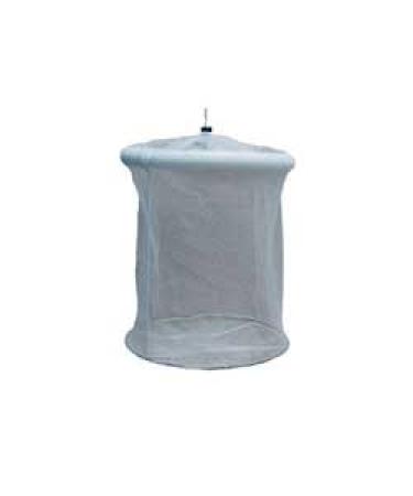 American Maple Inc Bait Motel One Size