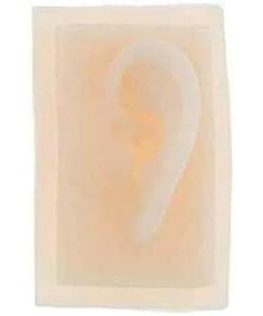 Model of Ear A Model of Silicon Ears Couple Human Model The of The Medical Research Pelle9 7 X 6.3 Centimeters / 3.82 X 2.48Inch - Buy Online on SooperMarket.com