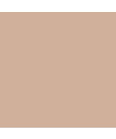 L'Oreal Paris True Match Alliance Perfect Corrector - Tinge 4 Beige (5 ml) | Shop Now for Flawless Skin - Buy Online on SooperMarket.com