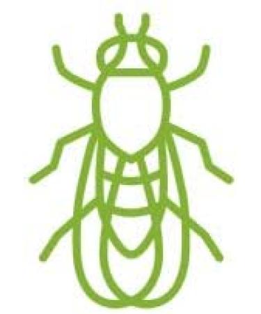 BUGGINS Original Gnat & Mosquito Insect Repellent 6oz Continuous Spray - Effective Protection - Buy Online on SooperMarket.com