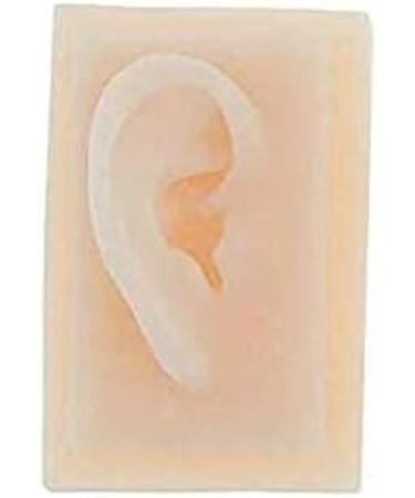 Silicone Ear Template for School Acupuncture Treatment Kit 1: 1 Nature Silicone Ear Template 1 Pair for Presentation Tool left ear - Buy Online on SooperMarket.com
