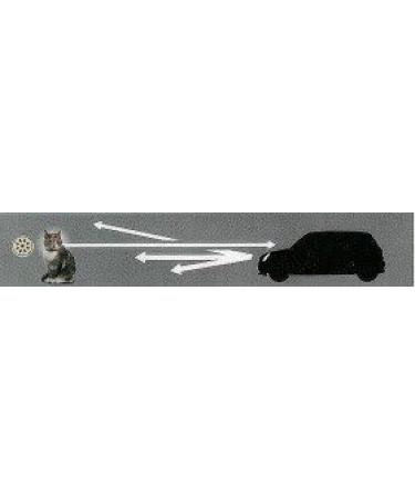 HUNTER FLASHLIGHT Cat Collar - Reflective Elastic Nylon with Bell - Blue - One Size | International Shipping Available - Buy Online on SooperMarket.com