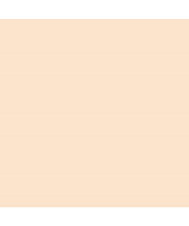 Studio Fix 24-Hour Smooth Wear Concealer by M.A.C NC10 7ml
