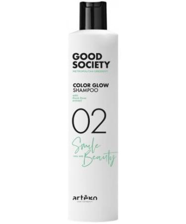 Artego Good Society Rich Color Shampoo 02 250ml Lasting colour vibrancy on colour-treated hair