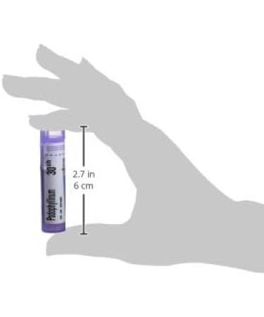 Podophyllinum 30ch Boiron Homeopathic Medicine - Buy Online on SooperMarket.com