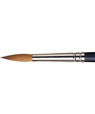 Winsor & Newton Professional Watercolor Sable Brush-Round #8 | Fine Point Artist Brush - Buy Online on SooperMarket.com