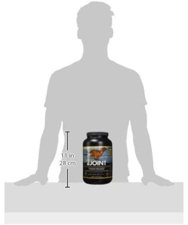 Flora Health BiologicVET BioJOINT Advanced Hip and Joint Mobility for Dogs and Cats Lignans Prebioptics Glucosamine Chondroitin Bromelain MSM Supplement 1600 g Powder 1600 g (Pack of 1) - Buy Online on SooperMarket.com