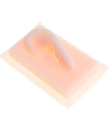 Model of Ear A Model of Silicon Ears Couple Human Model The of The Medical Research Pelle9 7 X 6.3 Centimeters / 3.82 X 2.48Inch - Buy Online on SooperMarket.com