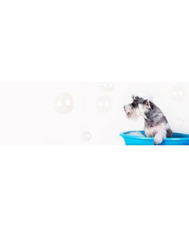 Roqsy Natur-Hundehampoo 200ml | Vegan & Organic Dog Shampoo for All Breeds | Ideal for Puppies Sensitive Skin & Allergy Relief - Buy Online on SooperMarket.com
