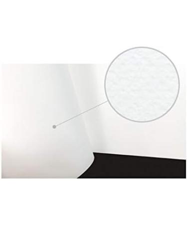 MUNGYO Professional Pastel Paper Pad A4 Size - 30 Sheets | Ideal for Oil Pastel & Dry Pastel | White Surface - Buy Online on SooperMarket.com