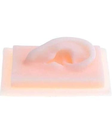 Silicone Ear Model for Educational Kit for The Acupuncture Treatment of The School Model of Human Ear Silicone-Size Natural 1 1 1 Pair - Buy Online on SooperMarket.com