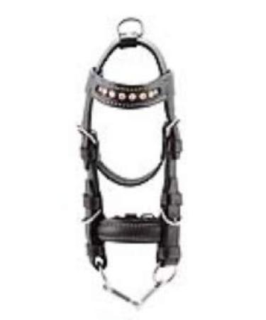 PFIFF Mini bridle black-pink Black/pink