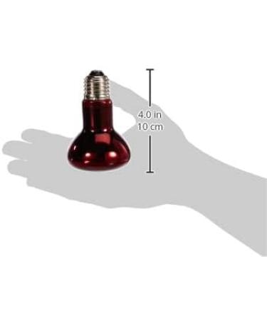 Exo Terra Infrared Basking Spot Lamp 75 W 1 Count (Pack of 1) 75 Watt - Buy Online on SooperMarket.com