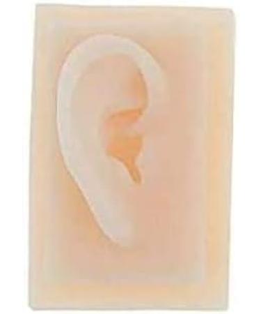Silicone Ear Model for Educational Kit for The Acupuncture Treatment of The School Model of Human Ear Silicone-Size Natural 1 1 1 Pair - Buy Online on SooperMarket.com