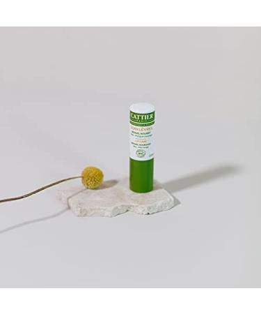 Cattier Lip Care - Natural Hydration | 1 Piece Pack for Smooth Lips | Shop Internationally - Buy Online on SooperMarket.com