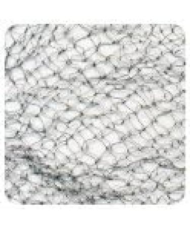 Jac-O-Net French Type Tiny Mesh Hair Net-Regular Size Light Brown 2 Net Per Pack - Pack of 12 - Buy Online on SooperMarket.com