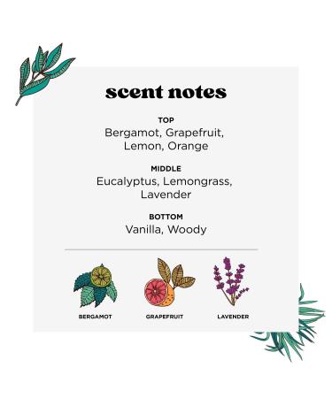 Discover Poo~Pourri Lavender Vanilla Before-You-Go Toilet Spray 2.0 oz - Elevate Your Style Instantly! - Buy Online on SooperMarket.com