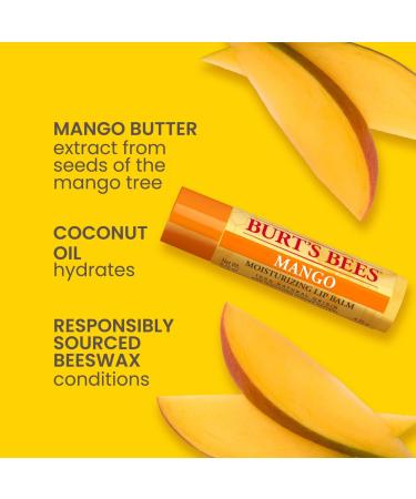 Discover Burt's Bees Superfruit Lip Balm 4-Pack 4 ct - Elevate Your Style Instantly! - Buy Online on SooperMarket.com