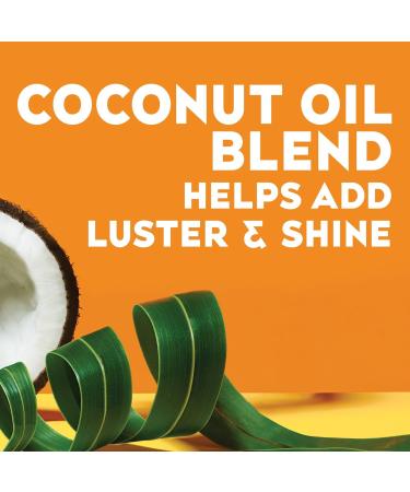 Discover OGX Locking + Coconut Curls Decadent Creamy Mousse 7.9 oz - Elevate Your Style Instantly! - Buy Online on SooperMarket.com