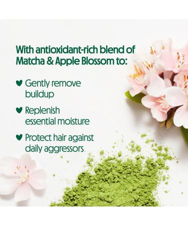 Not Your Mother's Matcha Green Tea & Wild Apple Blossom Ultimate Nutrition Shampoo 15.2 oz - Transform Your Style with the Best Innovation Today! - Buy Online on SooperMarket.com