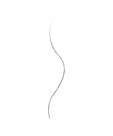 Wet n Wild Ultimate Brow Micro Brow Pencil Ash Brown 0.002 oz - Discover Premium Quality Shop now! - Buy Online on SooperMarket.com