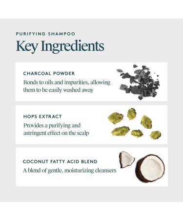 Discover Virtue Clarifying Charcoal & Coconut Purifying Shampoo 4.0 oz - Elevate Your Style Instantly! - Buy Online on SooperMarket.com
