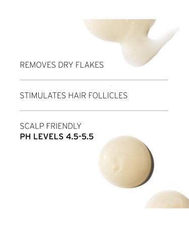 FEKKAI Apple Cider Detox Shampoo 8.5 oz - Transform Your Style with the Best Innovation Today! - Buy Online on SooperMarket.com
