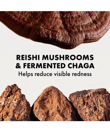 Origins Dr. Andrew Weil Mega-Mushroom Soothing Treatment Lotion 6.7 oz - Discover Premium Quality Shop now! - Buy Online on SooperMarket.com