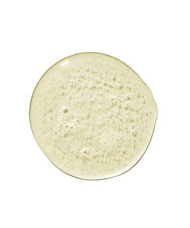 Paul Mitchell Clean Beauty Repair Shampoo 8.5 oz - Discover Premium Quality Shop now! - Buy Online on SooperMarket.com