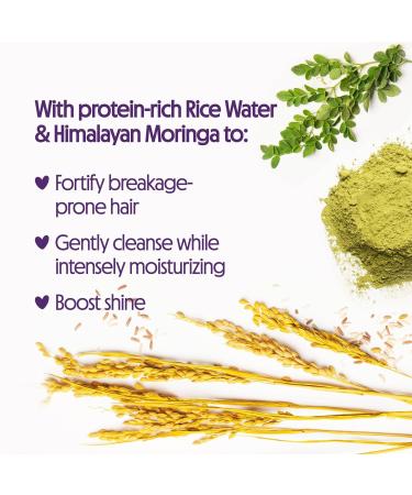 Discover Not Your Mother's Naturals Rice Water & Himalayan Moringa Superior Strength Shampoo 15.2 oz - Elevate Your Style Instantly! - Buy Online on SooperMarket.com