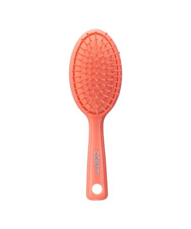 Discover Conair Color Pops Detangle & Style Brush Set - Elevate Your Style Instantly! - Buy Online on SooperMarket.com