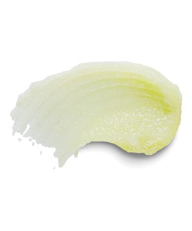 Dr Teal's Shea Sugar Body Scrub with Prebiotic Lemon Balm and Essential Oils 19 oz - Transform Your Style with the Best Innovation Today! - Buy Online on SooperMarket.com