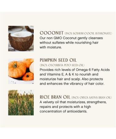 Innersense Organic Beauty Bright Balance Conditioner 10.0 oz - Transform Your Style with the Best Innovation Today! - Buy Online on SooperMarket.com