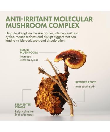 Origins Mega Mushroom Barrier Rescue Concentrated Serum 1.7 oz - Transform Your Style with the Best Innovation Today! - Buy Online on SooperMarket.com