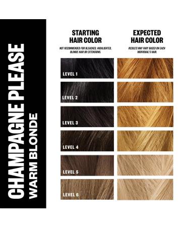 IGK Color Bright One Step Bleach & Color Kit Champagne Please - Transform Your Style with the Best Innovation Today! - Buy Online on SooperMarket.com