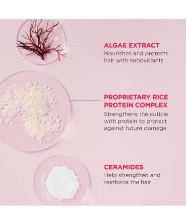 Discover Briogeo Don't Despair, Repair! Rich Rice Shampoo Concentrate 3.0 oz - Elevate Your Style Instantly! - Buy Online on SooperMarket.com