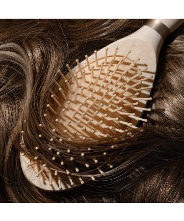 Discover EcoTools Shine Activating Detangler Hairbrush - Elevate Your Style Instantly! - Buy Online on SooperMarket.com