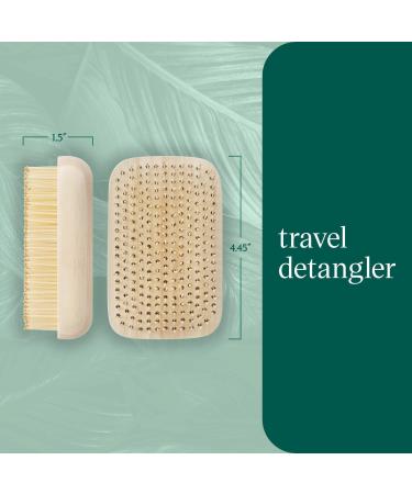 EcoTools Travel Detangler Handheld Hairbrush - Transform Your Style with the Best Innovation Today! - Buy Online on SooperMarket.com