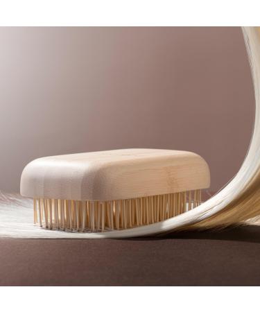 EcoTools Travel Detangler Handheld Hairbrush - Transform Your Style with the Best Innovation Today! - Buy Online on SooperMarket.com