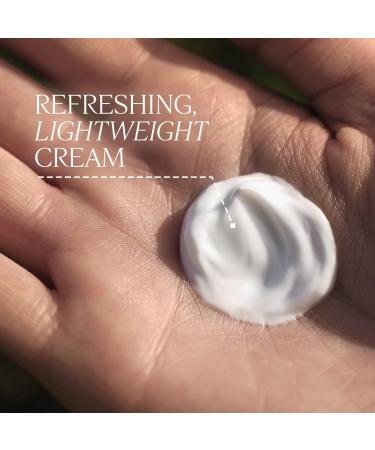 L'Occitane Artichoke Massage Body Cream 7.0 oz - Transform Your Style with the Best Innovation Today! - Buy Online on SooperMarket.com