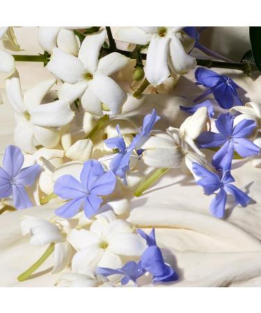 Discover Dolce&Gabbana Dolce Blue Jasmine Eau de Parfum 2-Pc Gift Set - Elevate Your Style Instantly! - Buy Online on SooperMarket.com