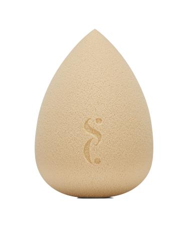 Discover Spectrum Pantherine 6-Piece Pro Blending Sponge Set - Elevate Your Style Instantly! - Buy Online on SooperMarket.com